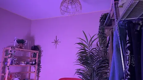 _vixenp webcam stripchat model stream image