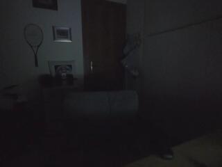 Slivester Stallion webcam model stream image