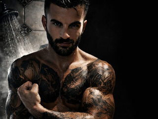 Slivester Stallion webcam model stream image