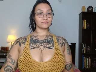 toothyy webcam model stream image