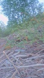 Ampallang6 webcam model stream image