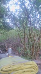 Ampallang6 webcam model stream image