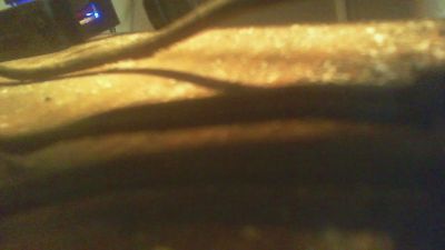 allblond1 webcam model stream image