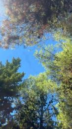 Laoquedad webcam model stream image