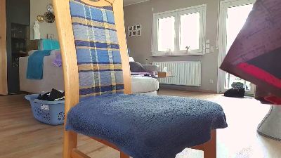 zippi2 webcam model stream image