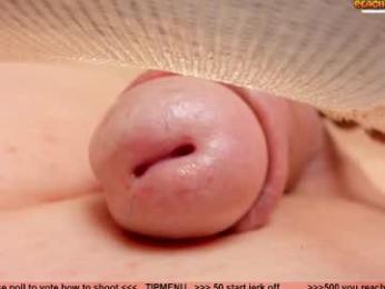 kpetra webcam model stream image