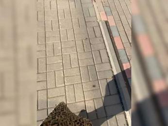 Lisa1225 webcam model stream image