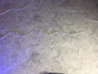 pinkncrazy webcam model stream image