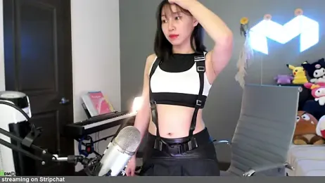 raspberryroll webcam model stream image