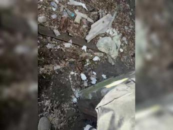 Pix1e webcam model stream image