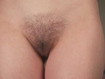 OrsonHodge webcam model stream image