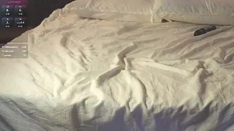 SanySenise webcam model stream image