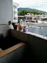 Niick01_ webcam model stream image