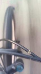 gutig_14 webcam model stream image