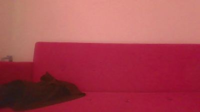 hugo3549 webcam model stream image