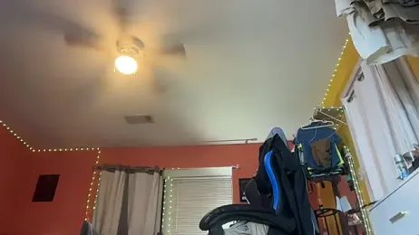 BearChubby300 webcam model stream image