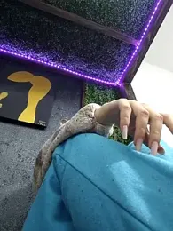 pleasure_of_life webcam model stream image