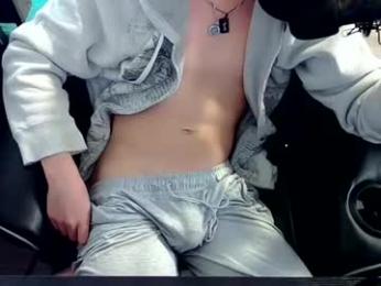 skrogdog webcam model stream image