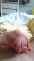 nbvxw webcam model stream image