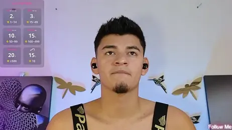 VikoHands webcam model stream image