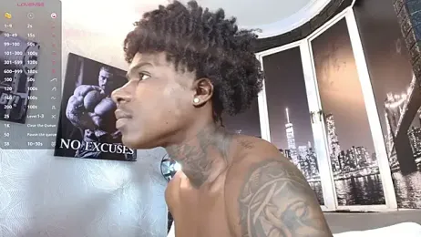 toower_ webcam model stream image