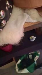 Madrid_sierra webcam model stream image