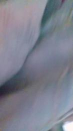 tomsauwer webcam model stream image