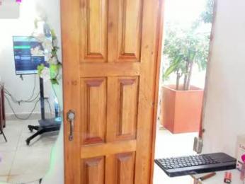 sofia_gold_ webcam chaturbate model stream image