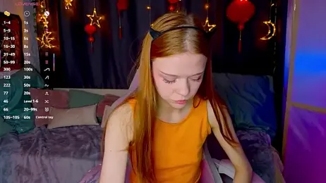 WeiSusi webcam model stream image