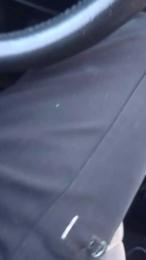 Piseloduro webcam model stream image