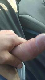 Piseloduro webcam model stream image