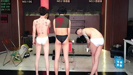 RL-001 webcam model stream image