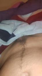 Pollatroni webcam model stream image