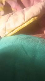 renatoalba8788 webcam model stream image