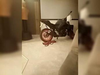 Fox-mia webcam bongacams model stream image