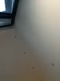 KathaleaNoir webcam model stream image