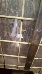 grantega1976 webcam model stream image