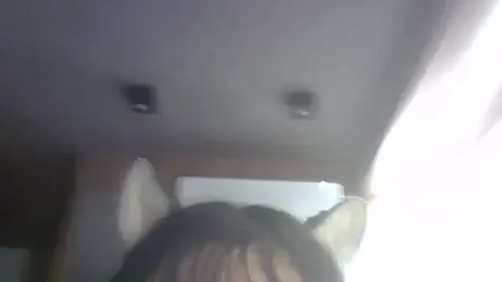 SkinnyKitten webcam stripchat model stream image