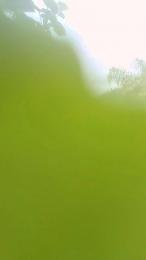 Muyganoso24 webcam cam4 model stream image