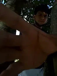 prototipoA45 webcam model stream image