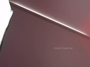 roselinedior webcam model stream image