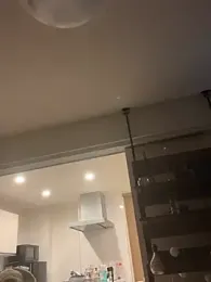 IroManager webcam model stream image