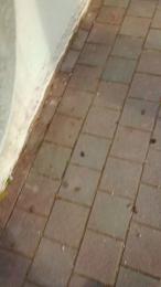 minex2 webcam model stream image