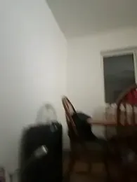 biakalifa69 webcam model stream image