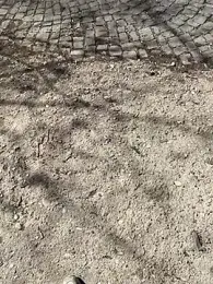 mikimakim webcam model stream image