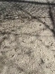 mikimakim webcam model stream image