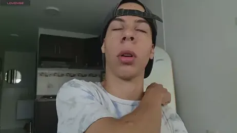 grey___27 webcam model stream image