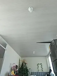 valery_mora webcam stripchat model stream image