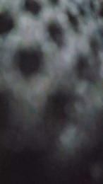 Chia562002 webcam model stream image