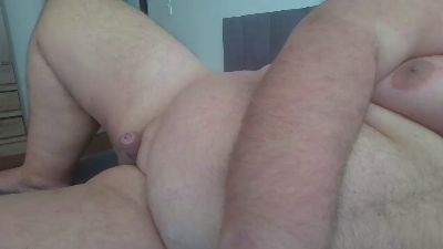 Bear_pb webcam model stream image